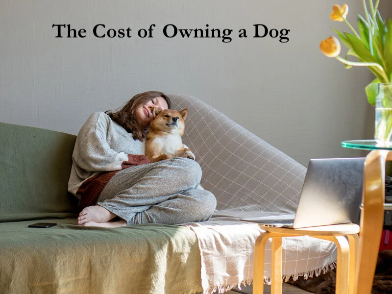 The Cost of Owning a Dog