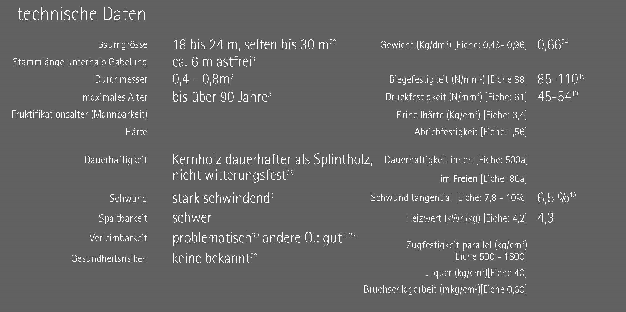 technische daten kirsche.jpg