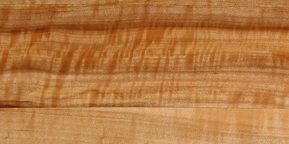 Wimmerwuchs