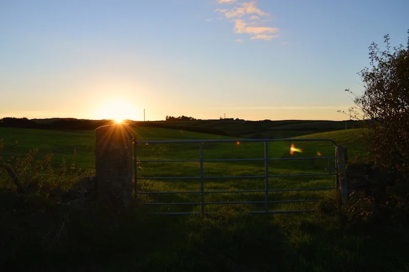 ireland-pt-1-9.jpg
