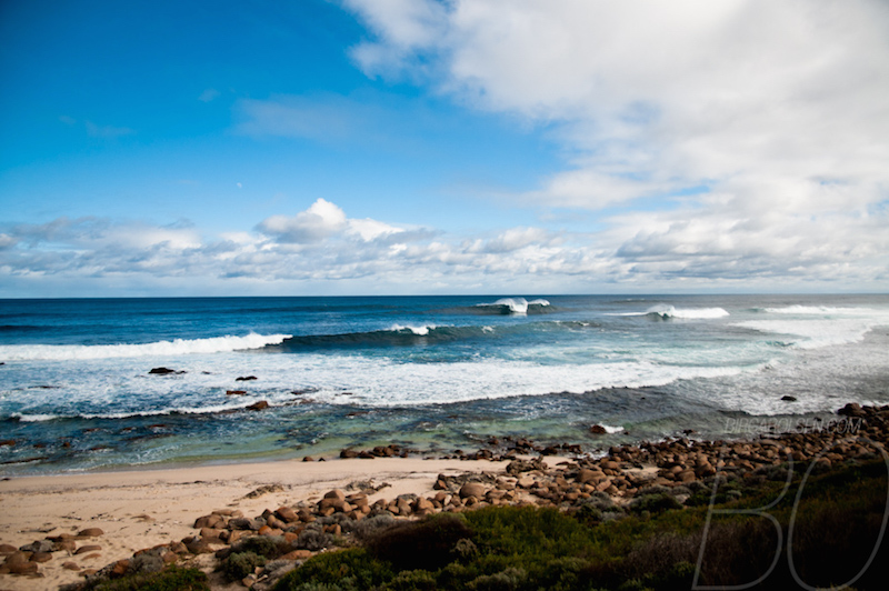 look-to-the-west-there-is-swell-on-the-way-28.jpg