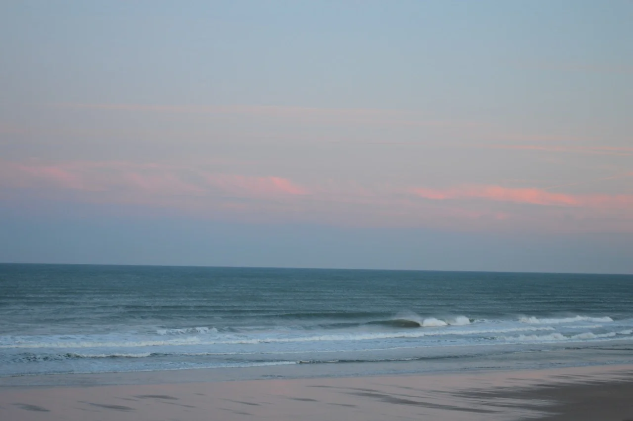DSC_0572.jpg