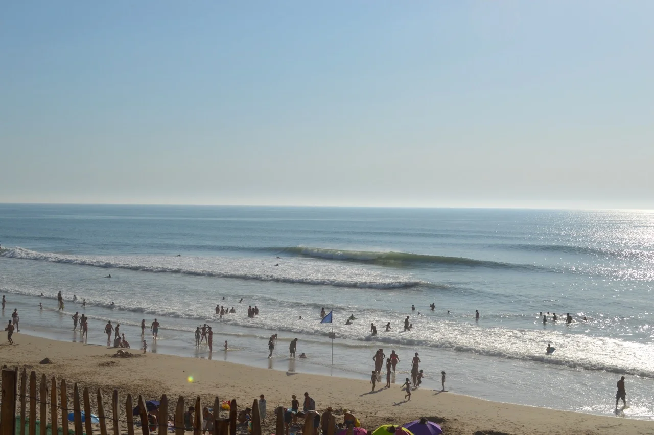DSC_0644.jpg