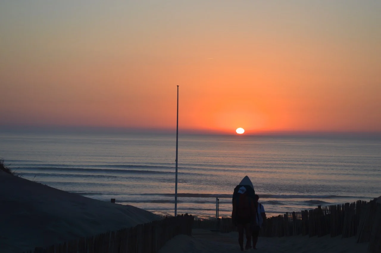 DSC_0720.jpg