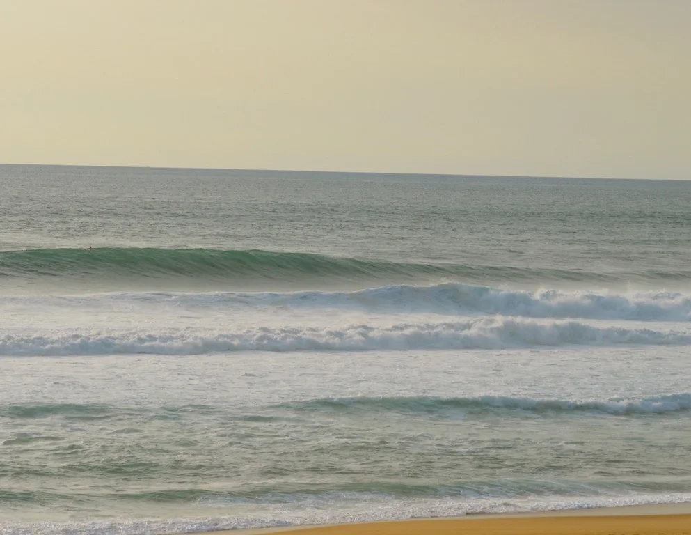 DSC_0051_.jpg