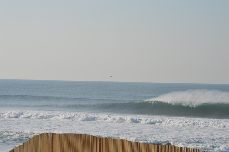 DSC_0497.JPG