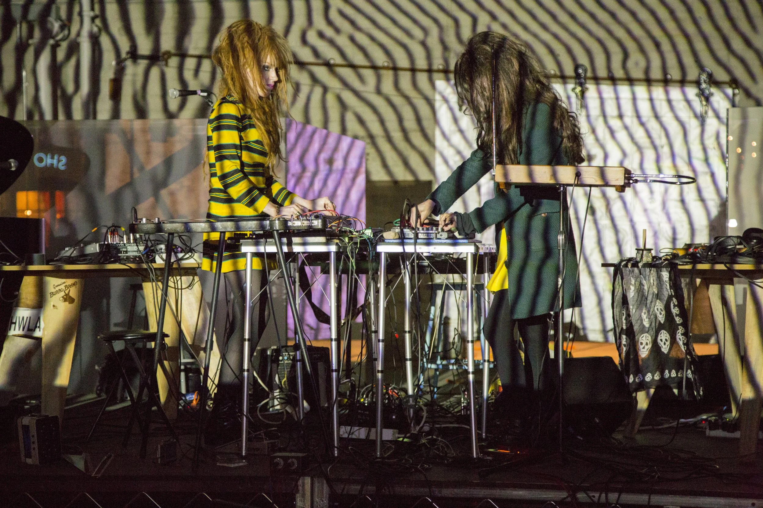 HW_Jan_20_Concert_010-smaller.jpg