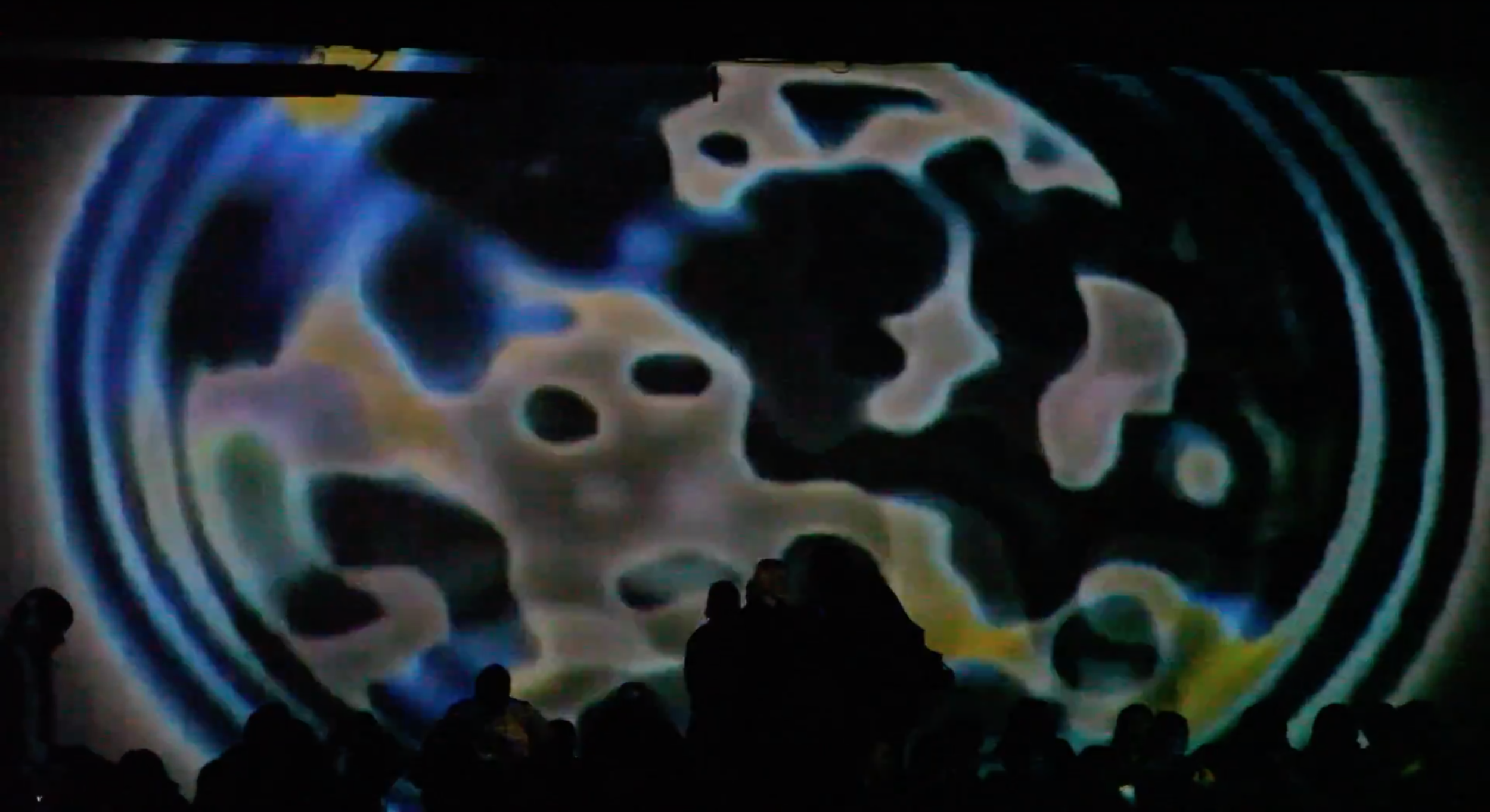 Geologist of Animal Collective Performs at Tonalism 2015