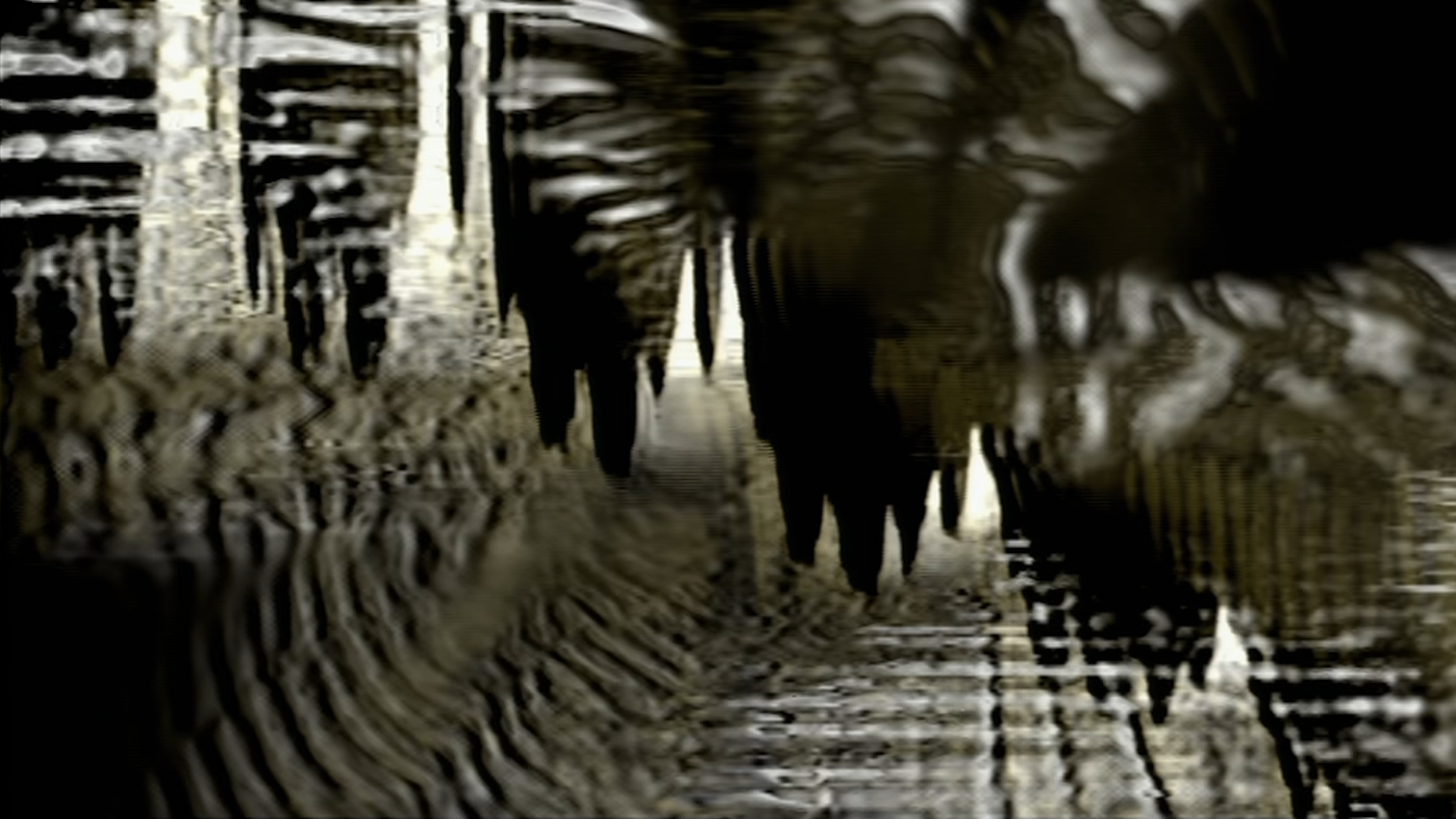 PELLYVISION w/ Vasculae (3.13.2025)