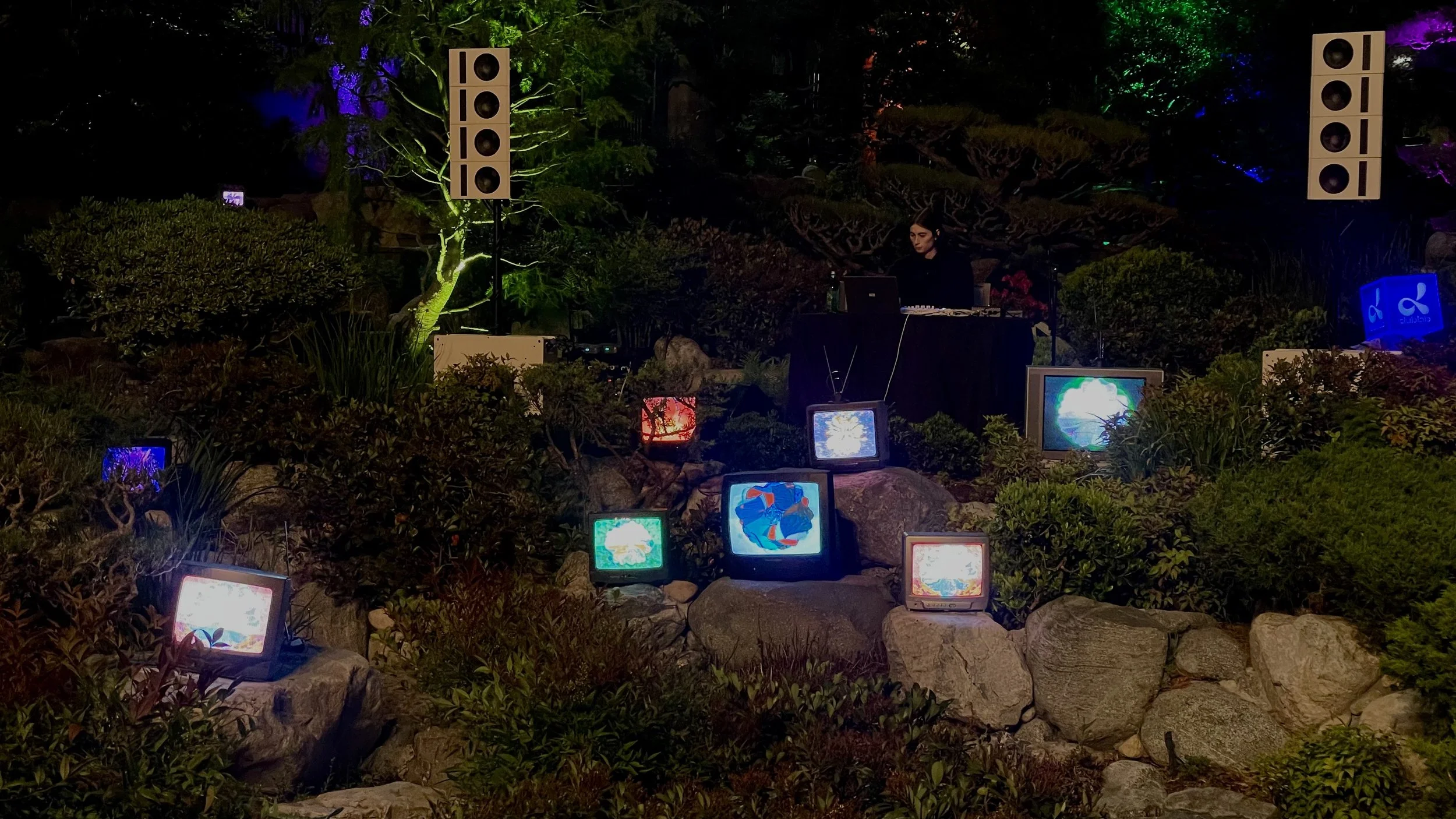 TV Garden for dublab's Fundraising Salon