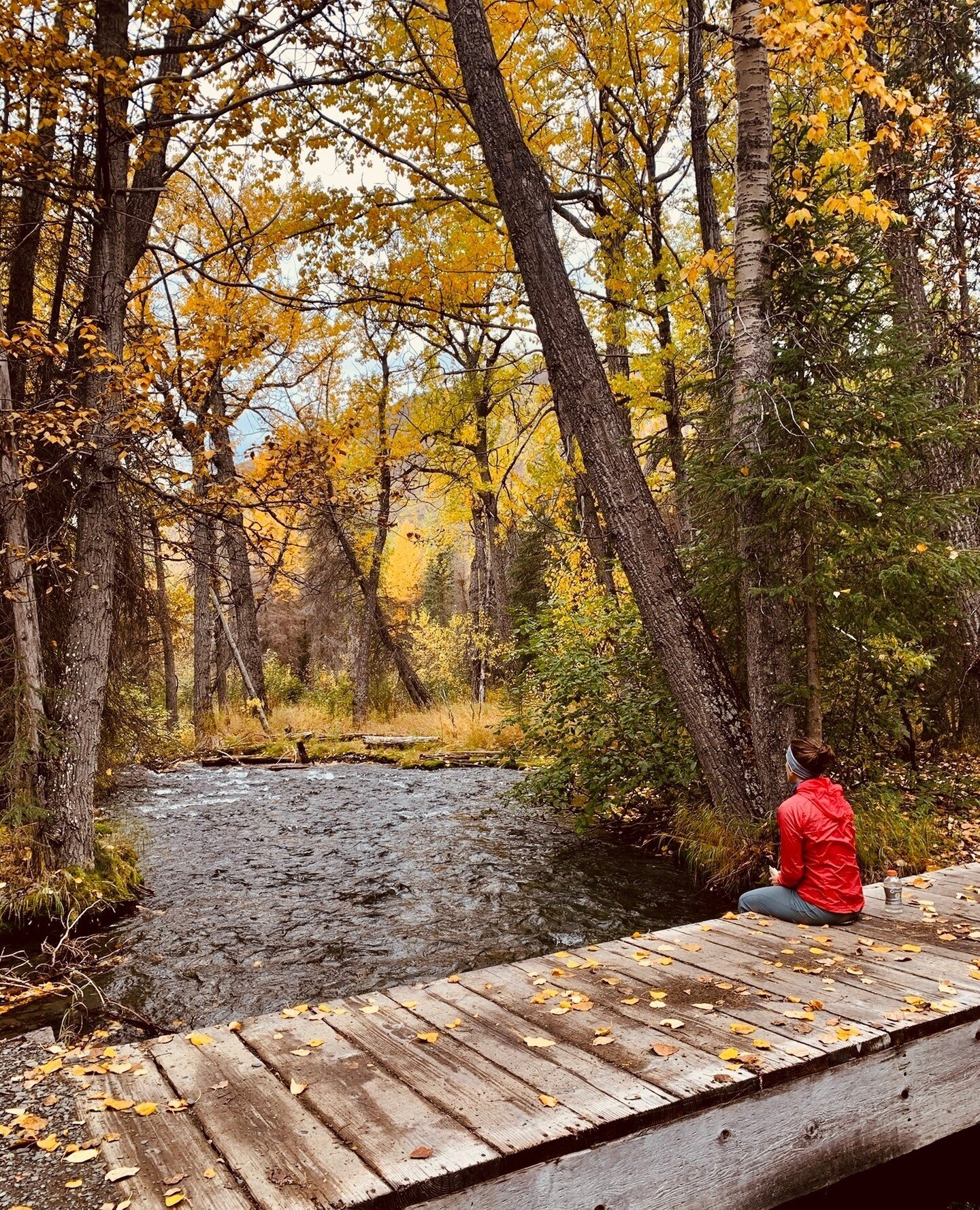 What is a Rugged Renewal?⁠
An adventure that facilitates a healthy flow in the nervous system between moments of exertion (healthy stress) and pauses to rest and recover.⁠
⁠
Are you spending your days over activated and your evenings numb in front of