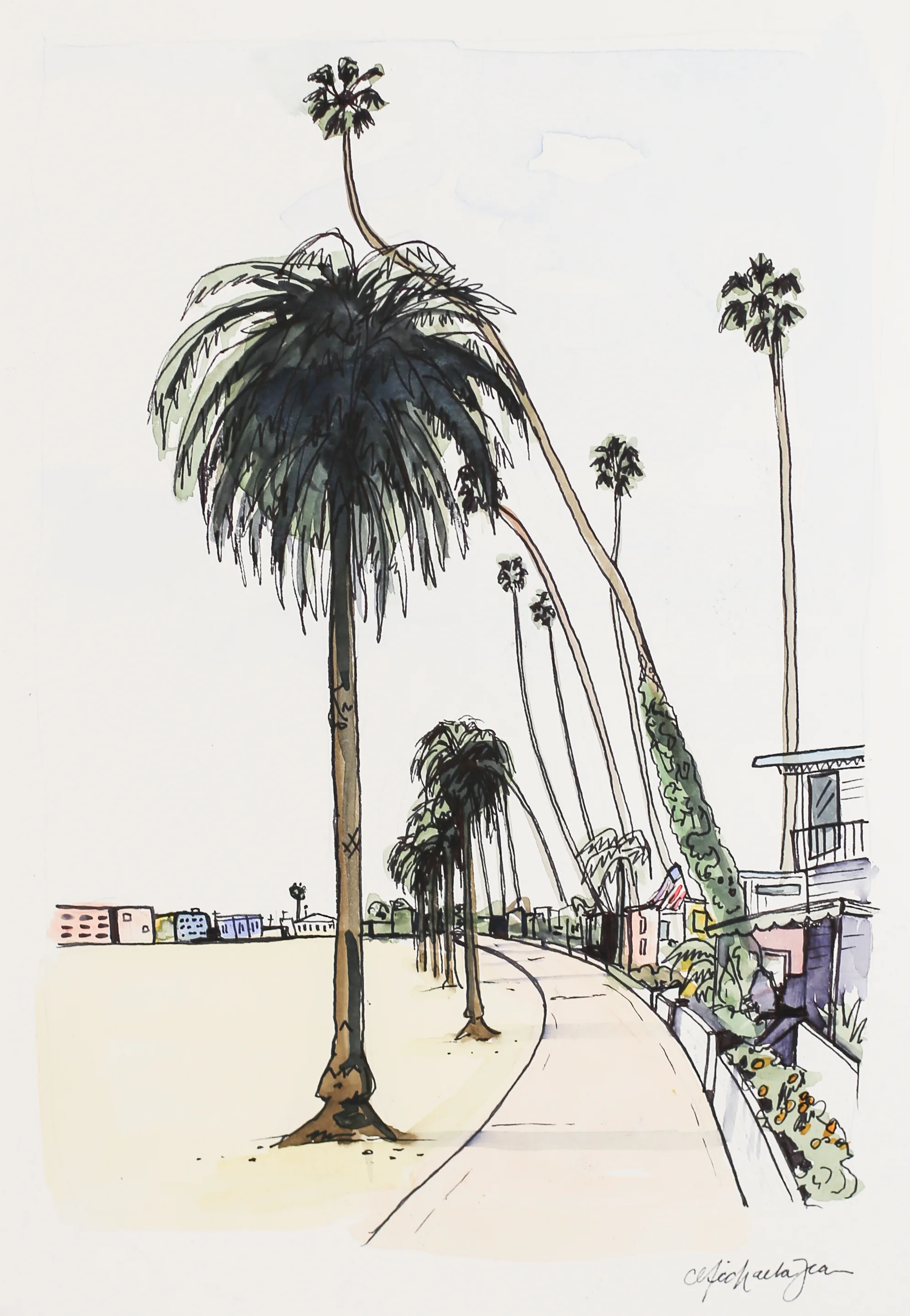 PBMBh20color2016-24.jpg