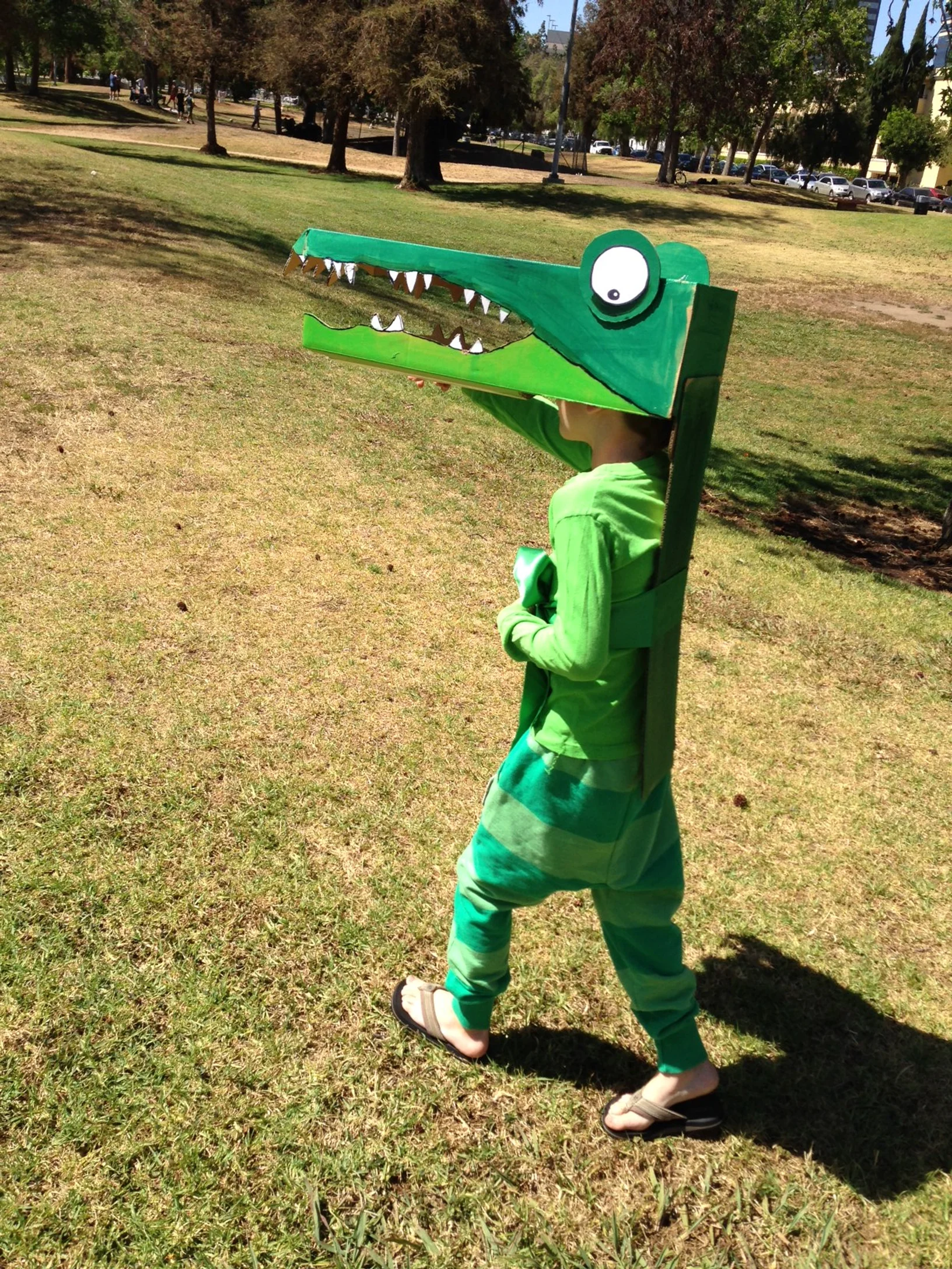 Crocodile 
