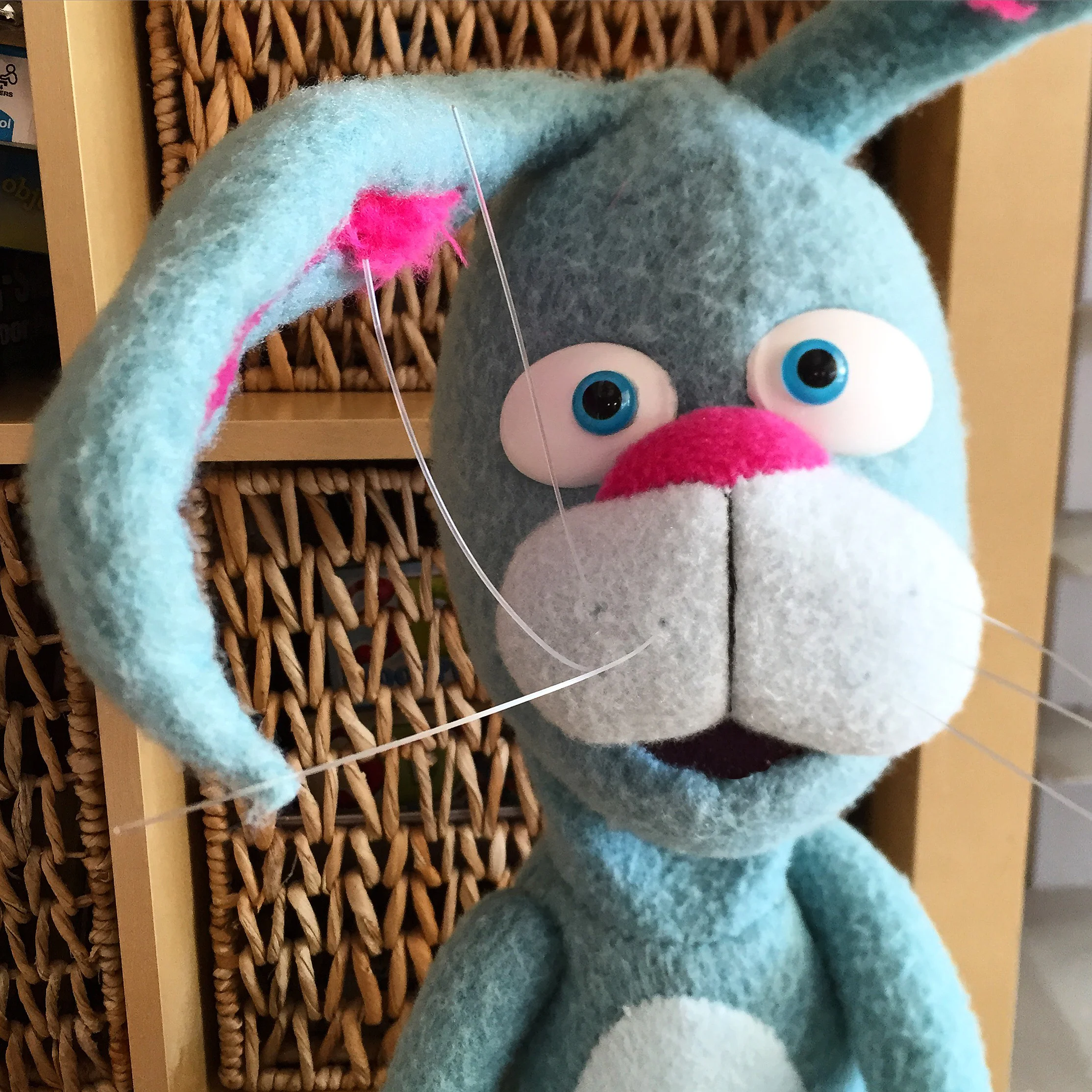 "Whiskers"
