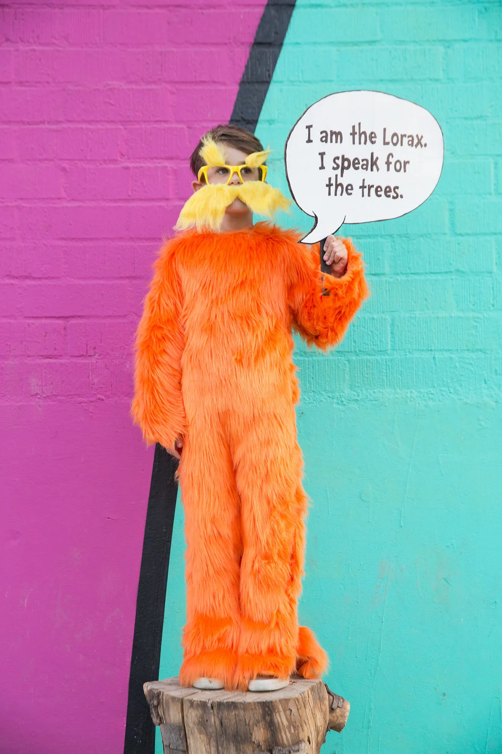 The Lorax