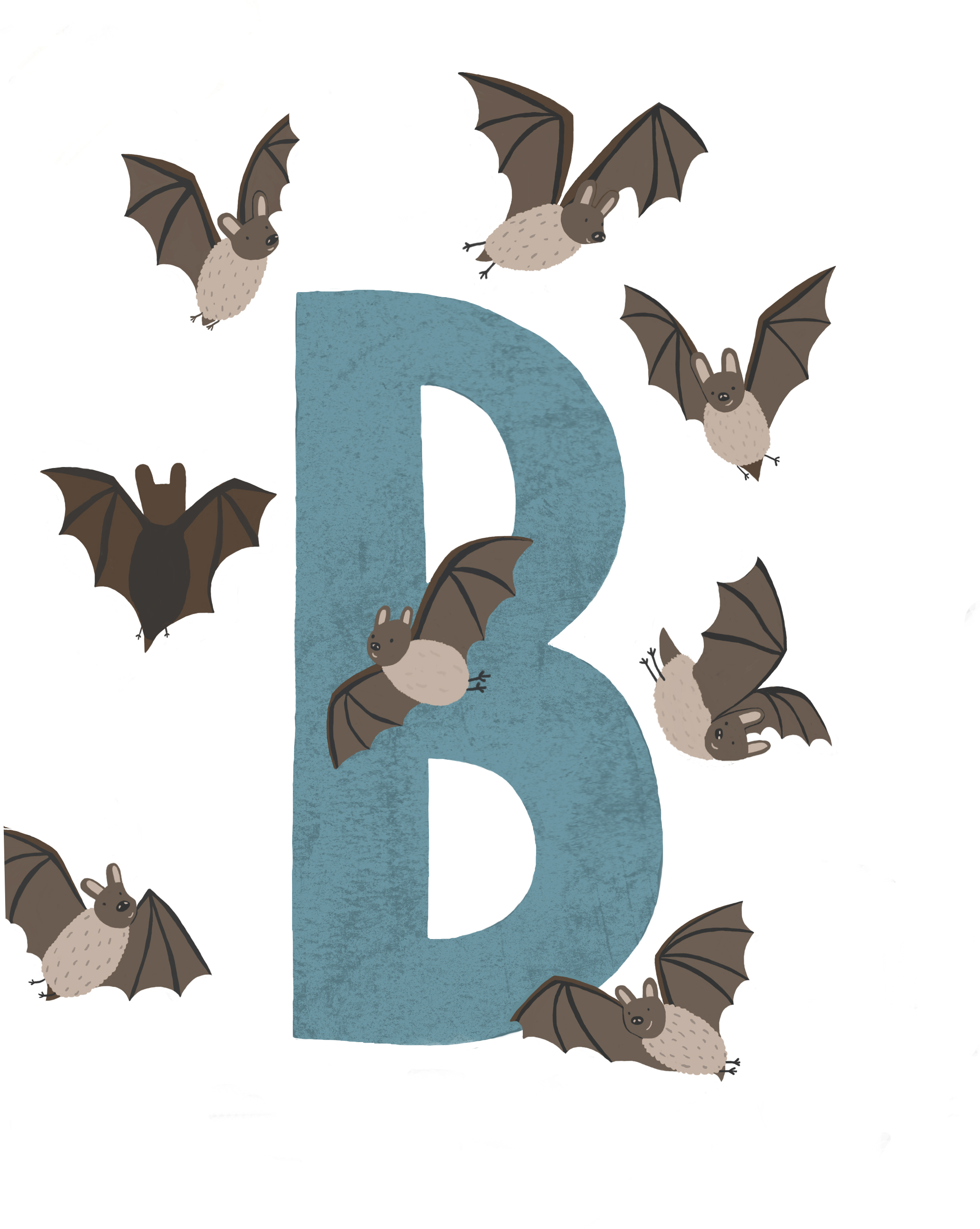 b-portfolio.jpg