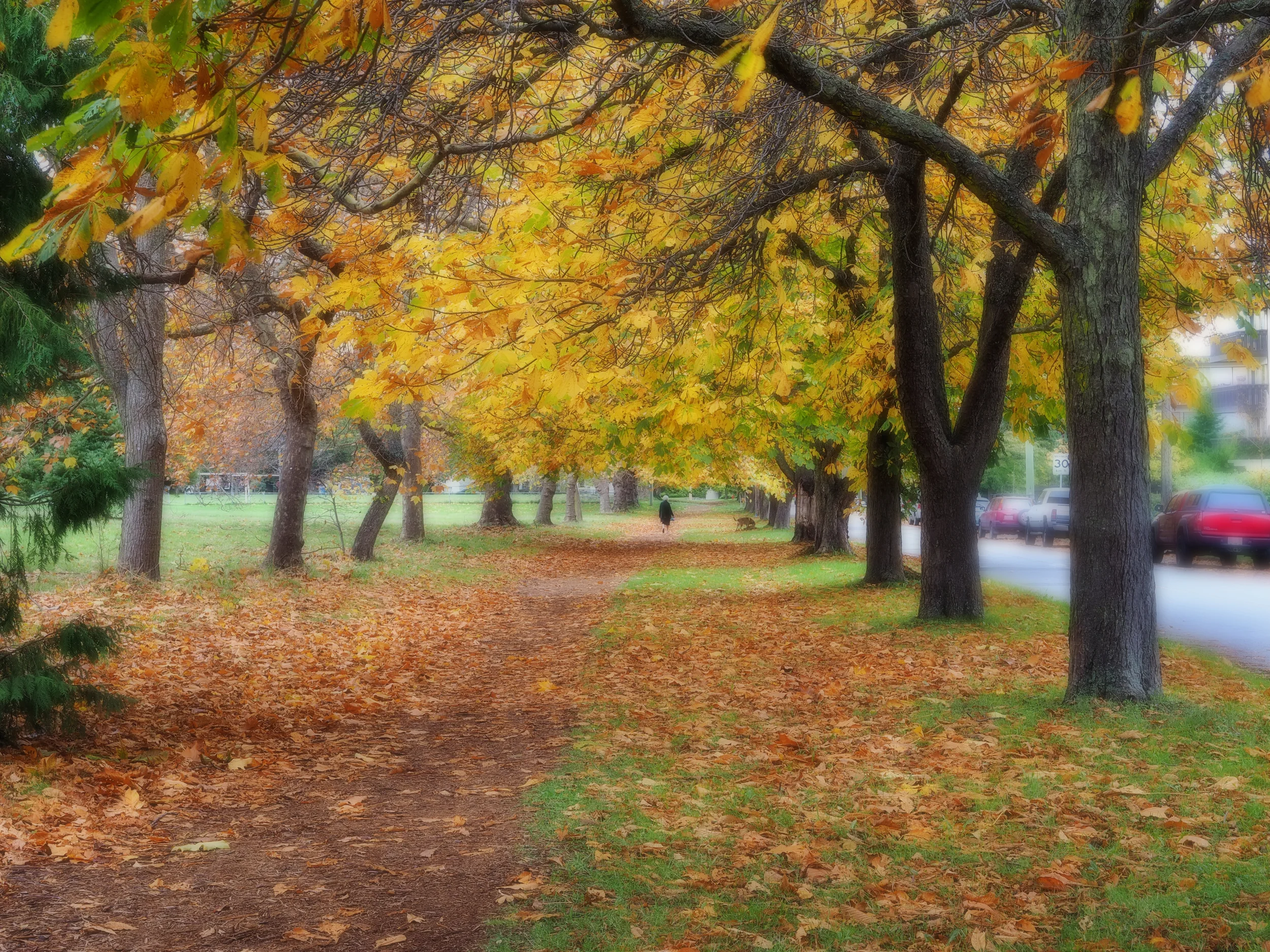 park2x.jpg