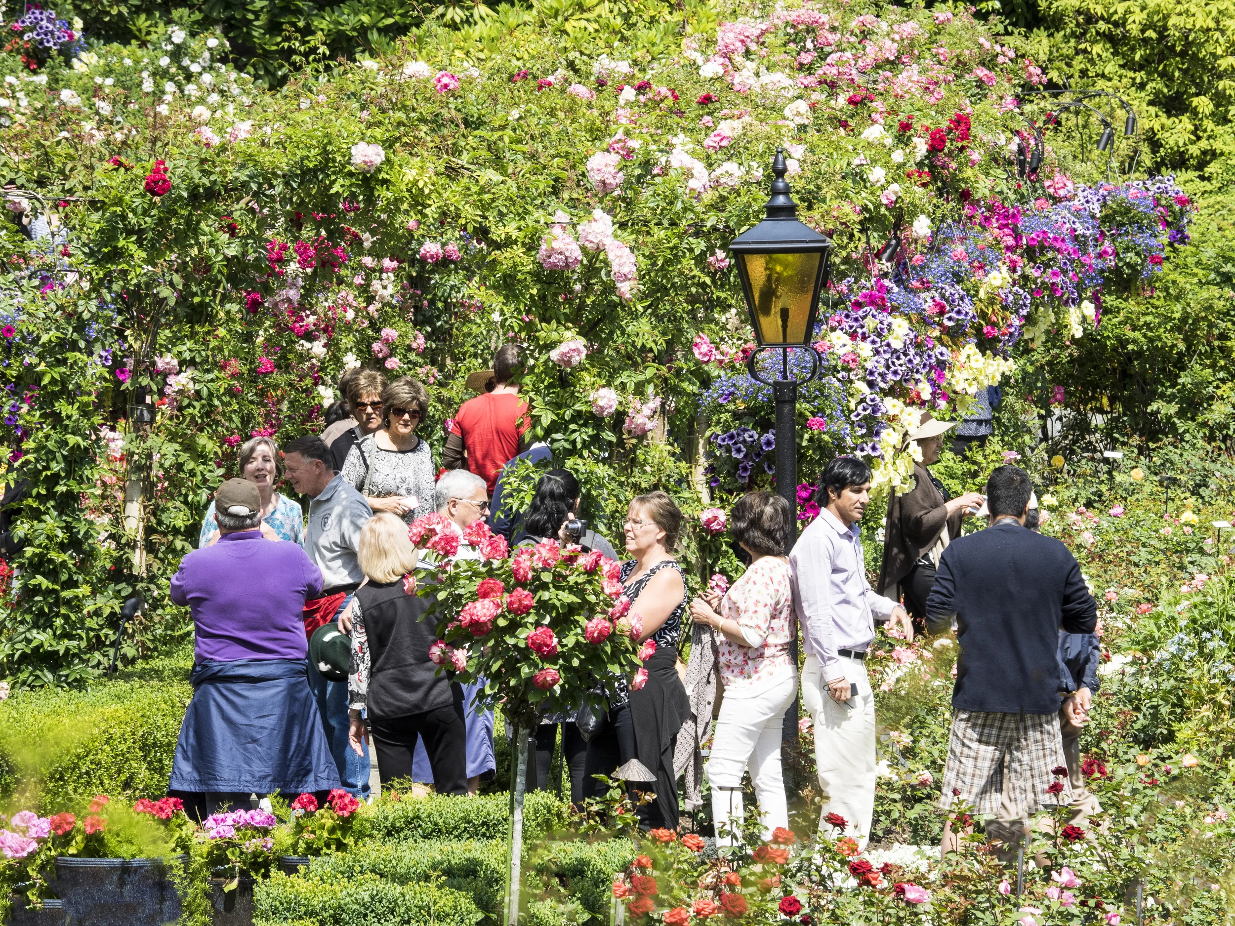Butchart Gardens.