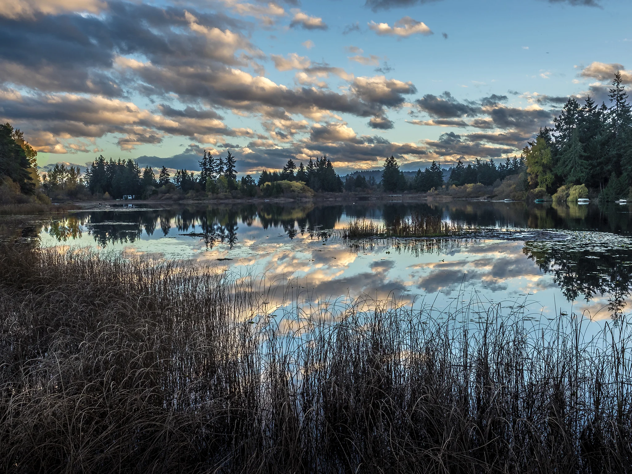 Florence Lake Reflections