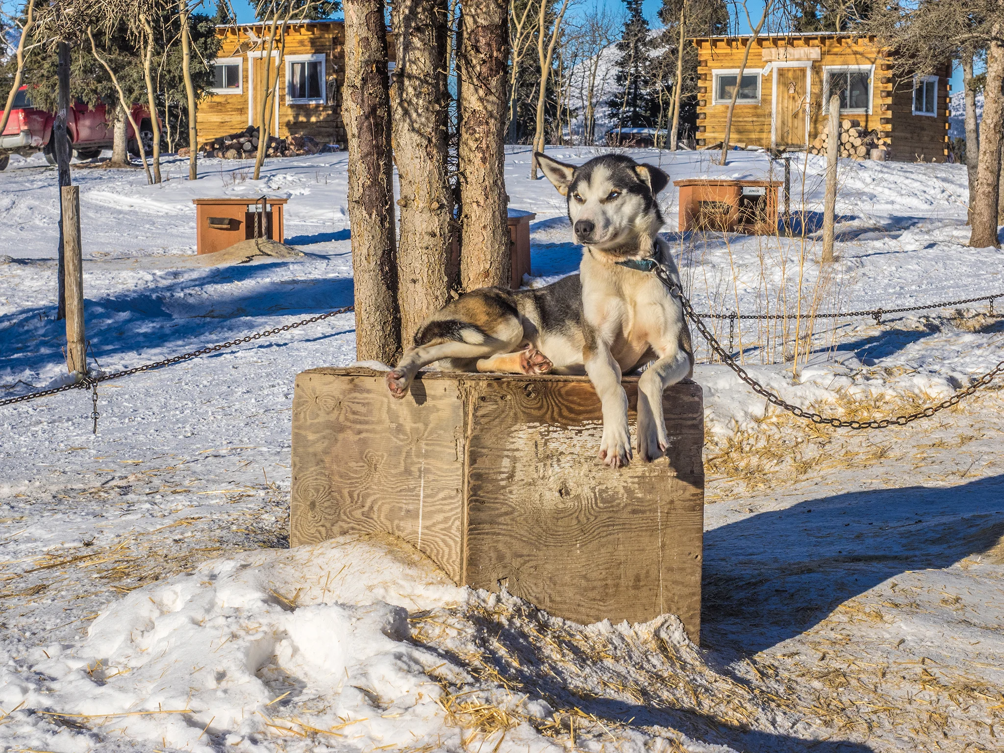 yukon23.jpg