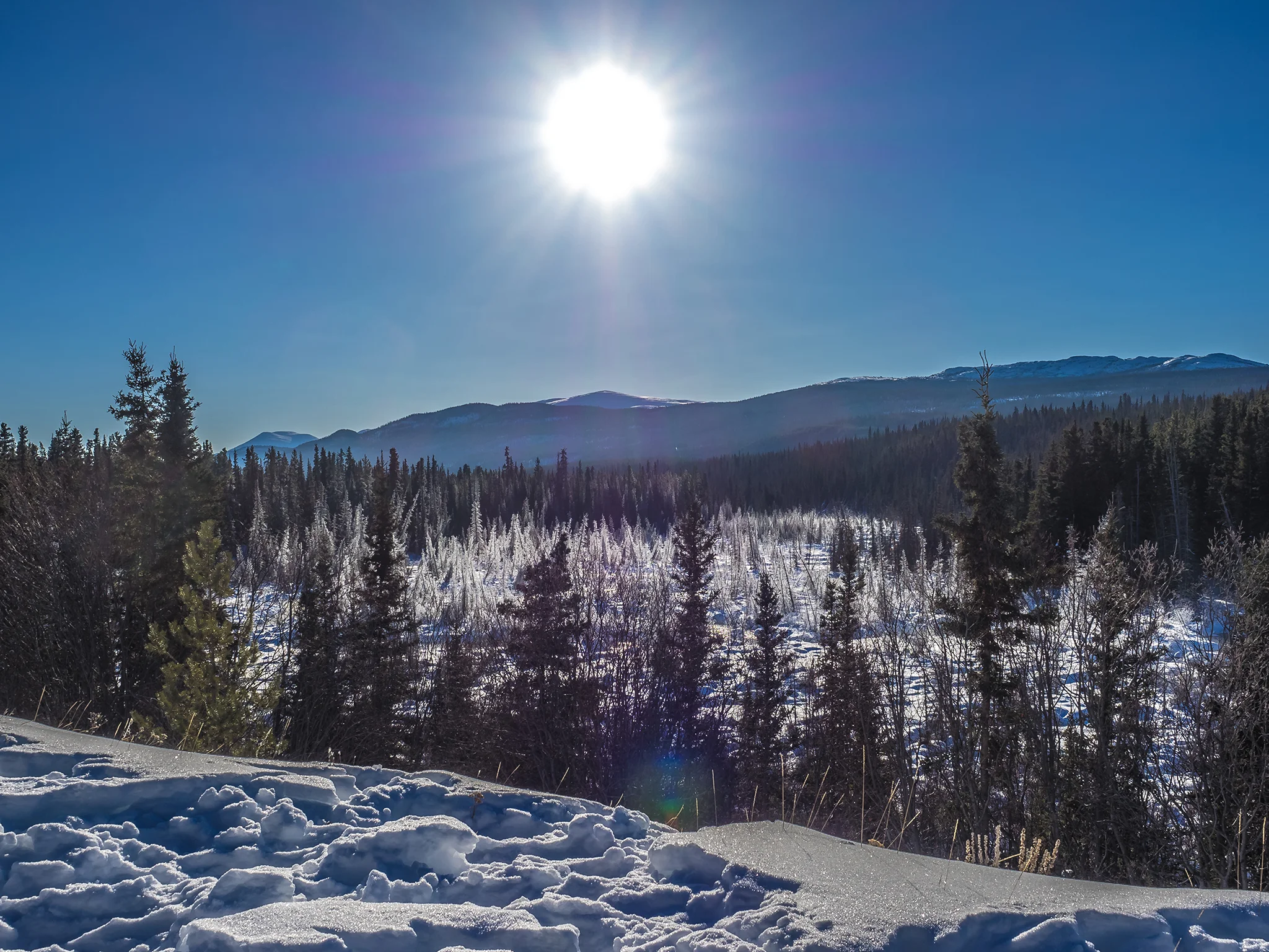 yukon29.jpg
