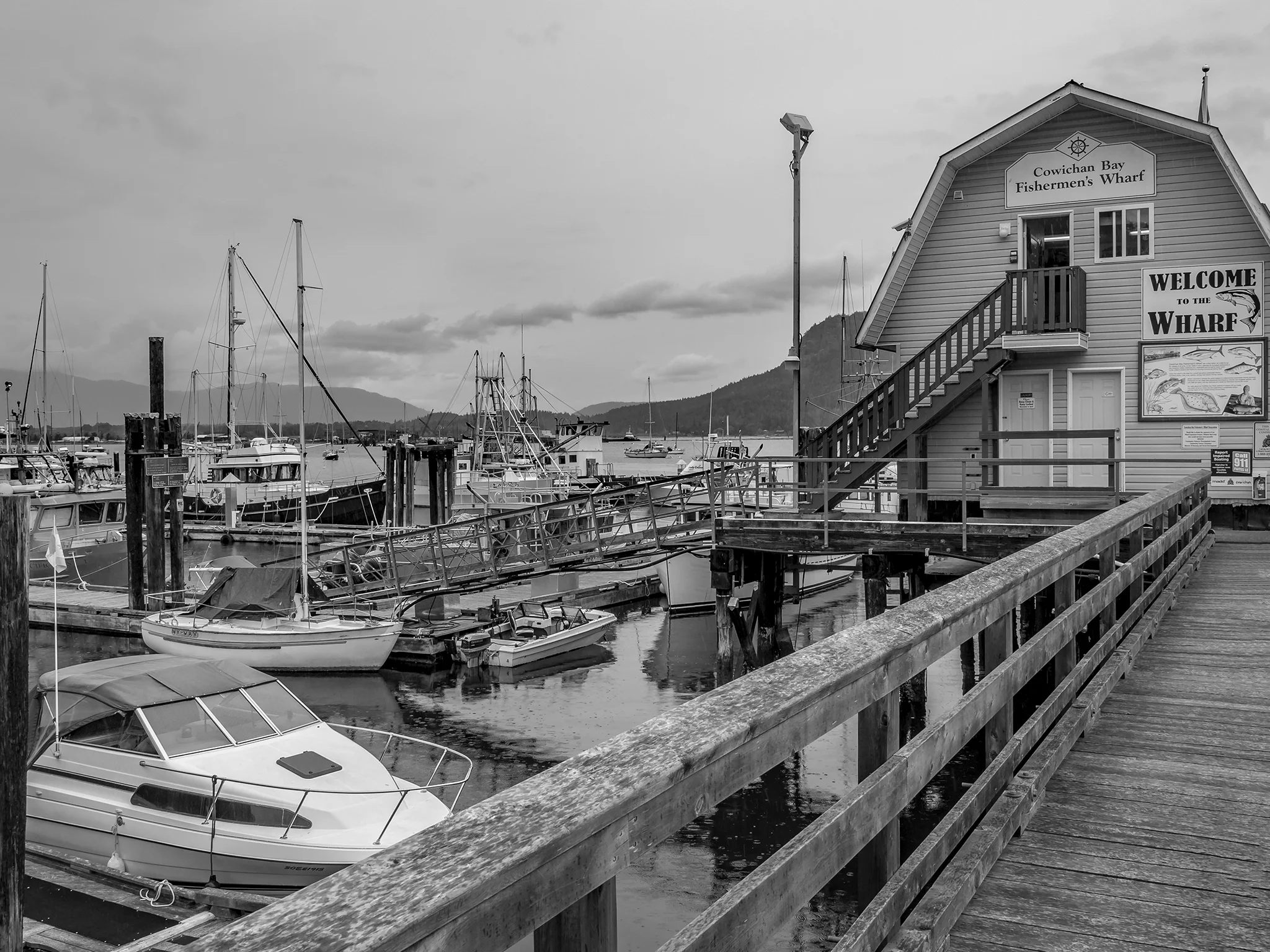 cowichan8.jpg