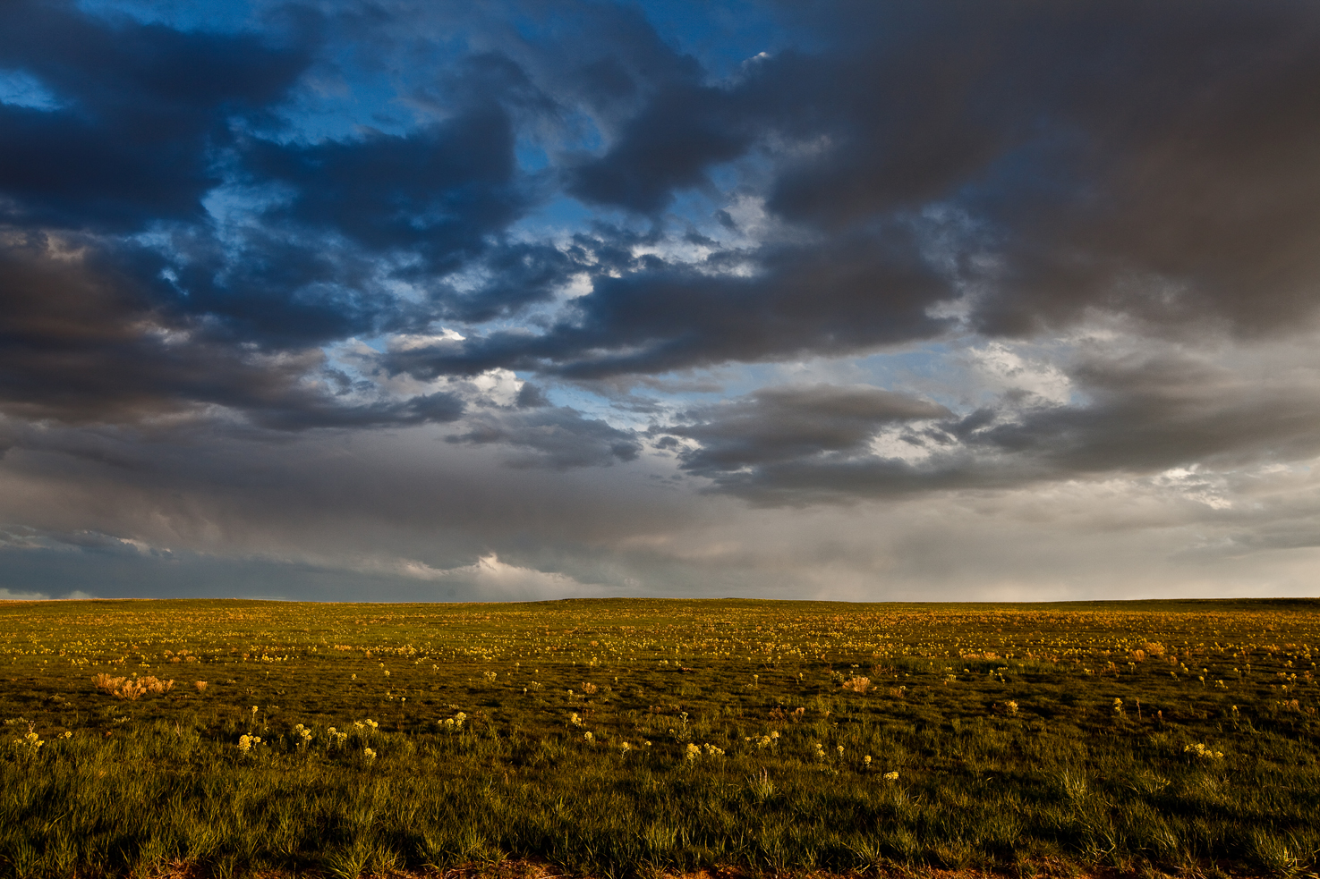 Wildflowers and rain clouds over the Pawnee Grasslands