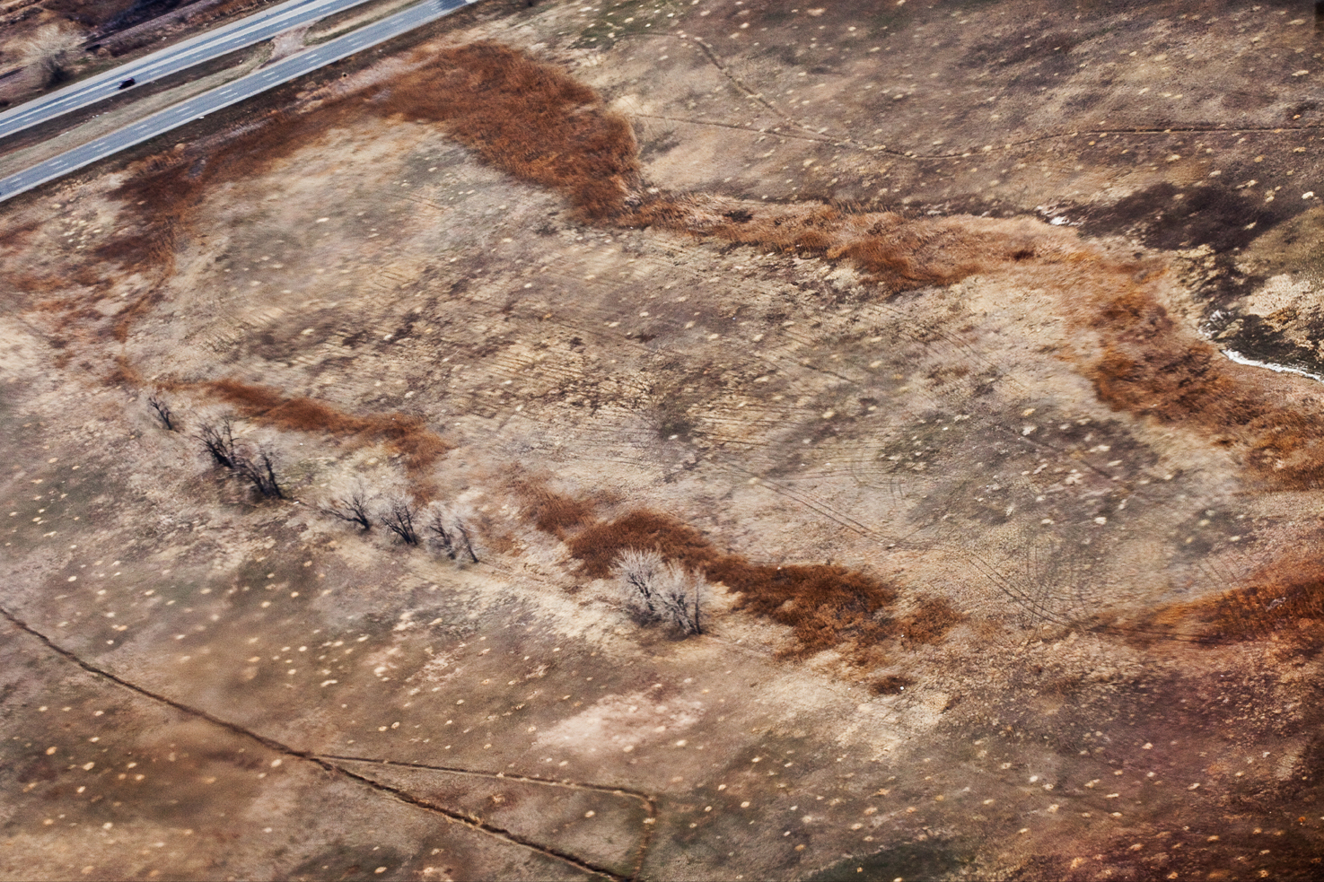 A prairie dog town