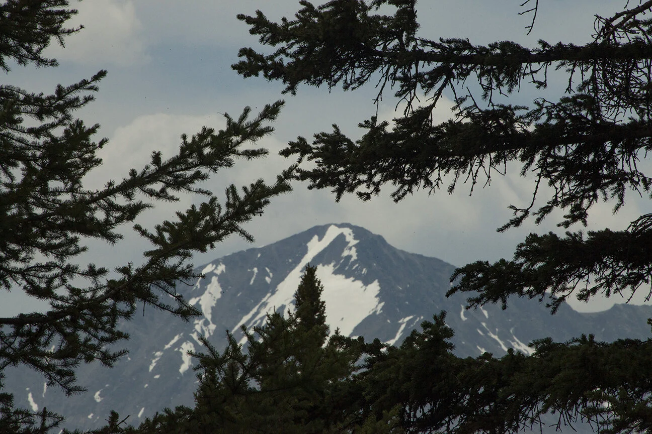 IMG_1980.JPG