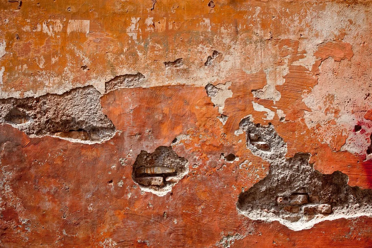 IMG_2105.jpg