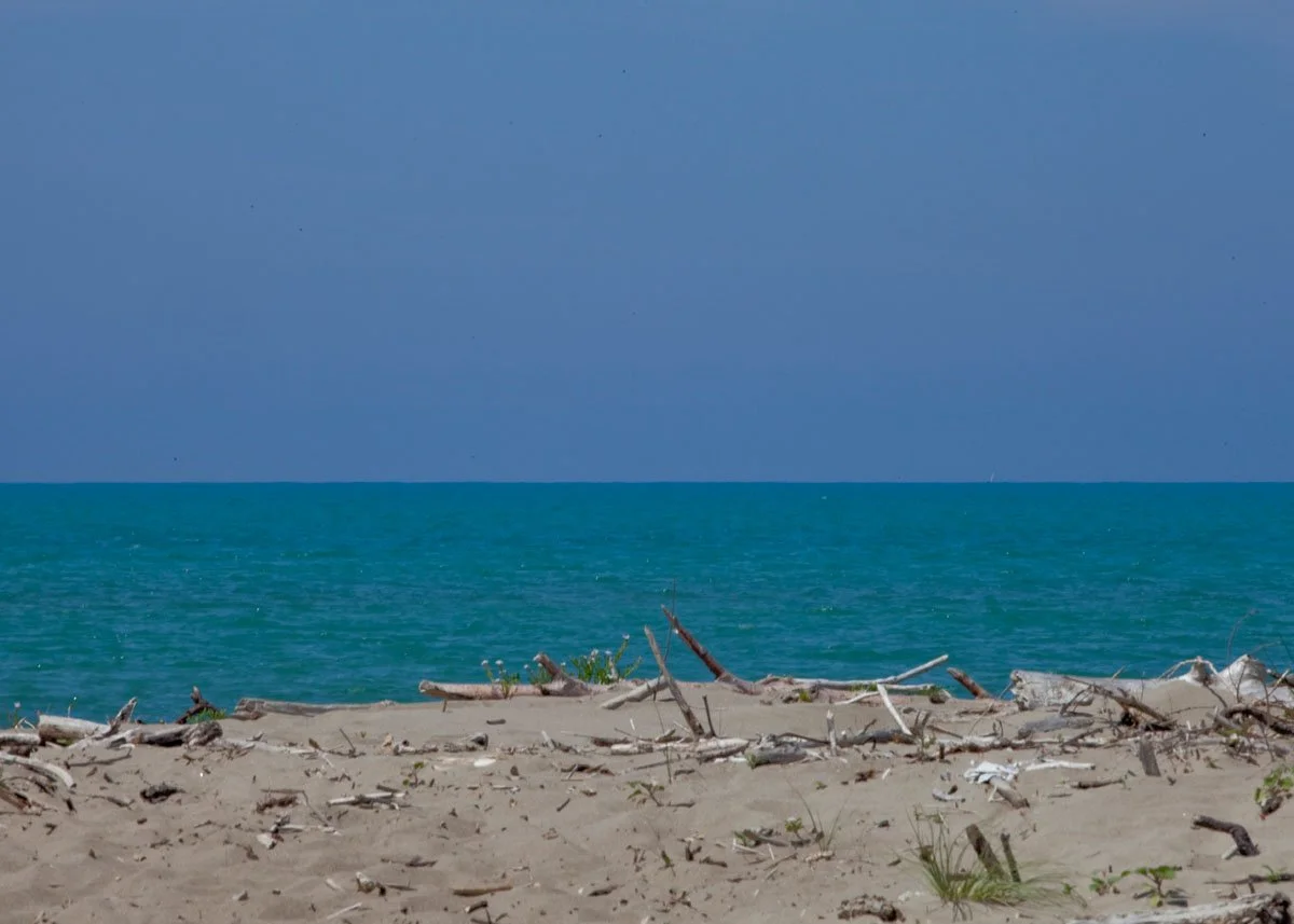 IMG_3844.jpg
