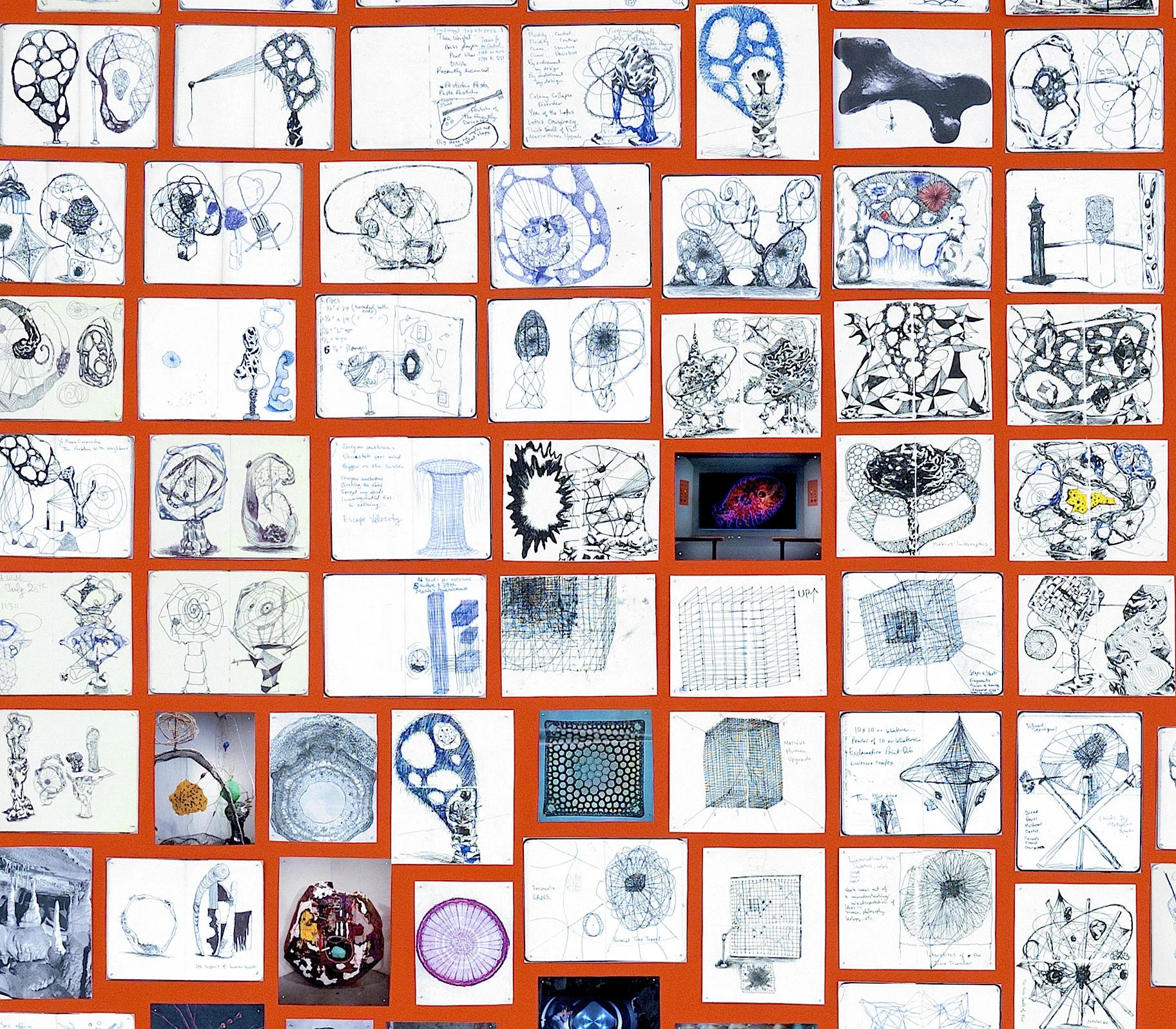 Spaghetti Love.2014 detail.jpg