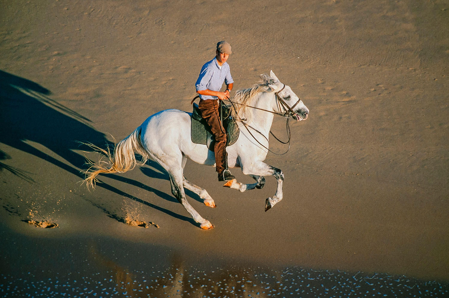 Aerial photo of a horseman, Portugal