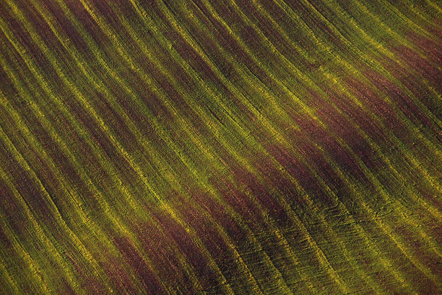 Aerial photo of a field, Oregon