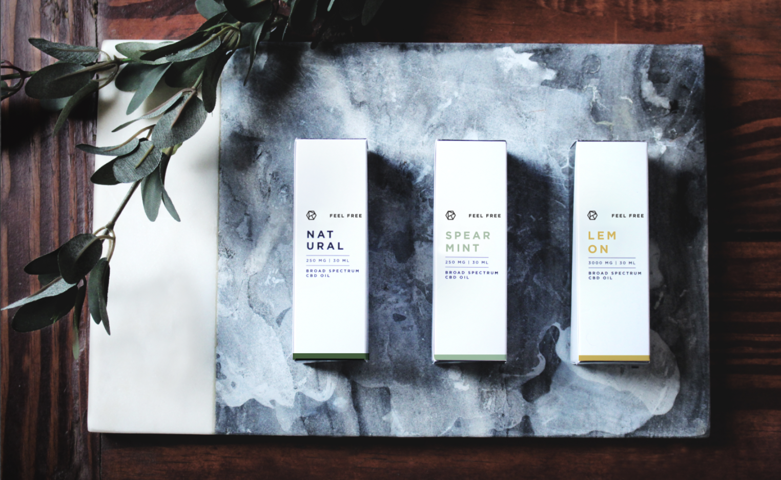 Feel Reverie: Feel Free.