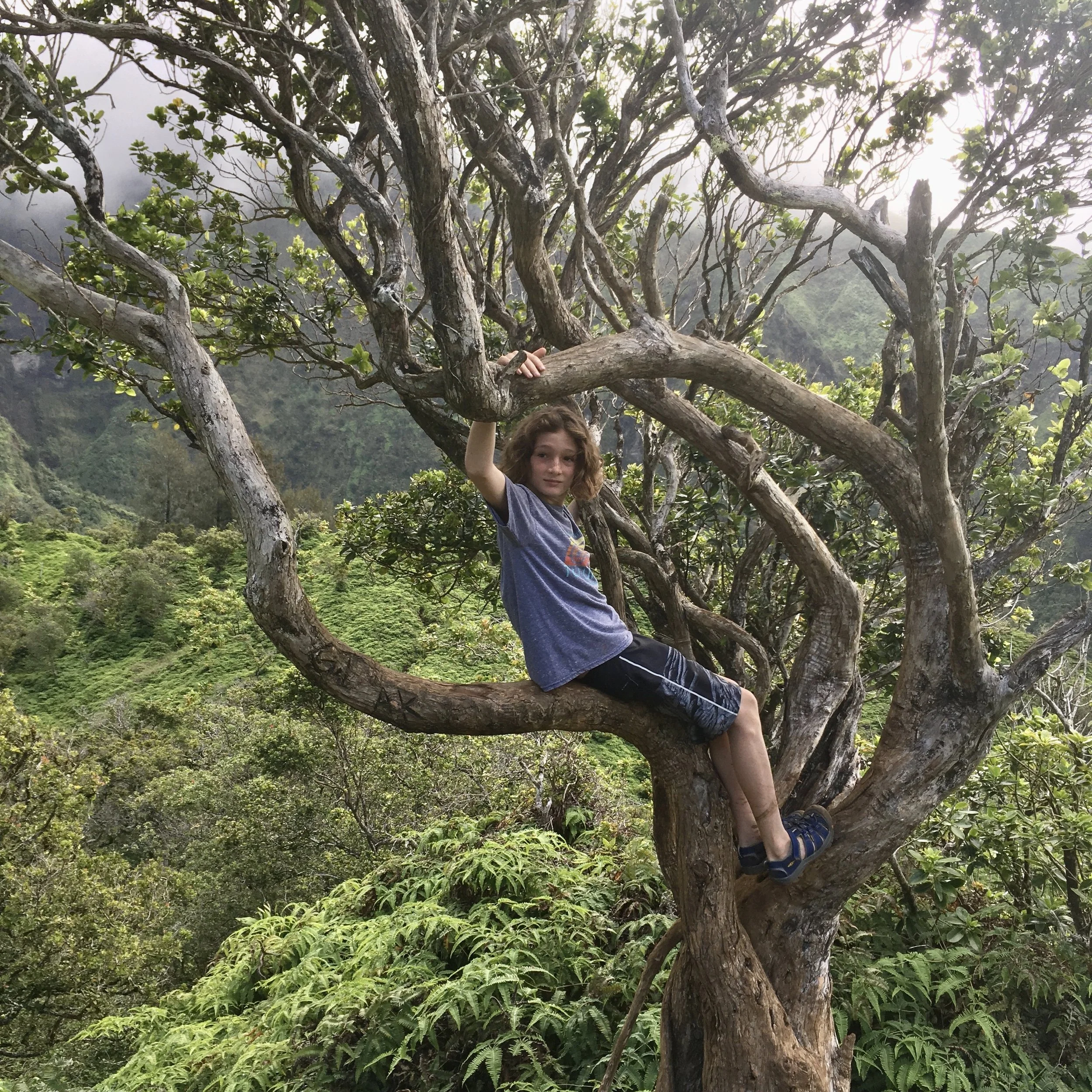 Subjects вЂ” coLAB studio,