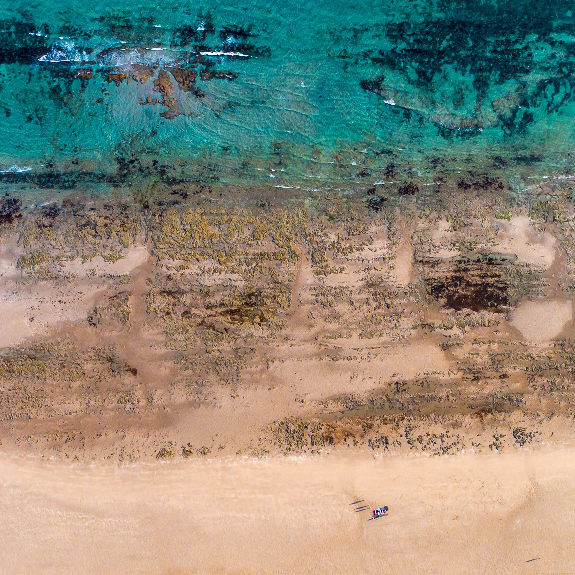 DJI_0006.jpg