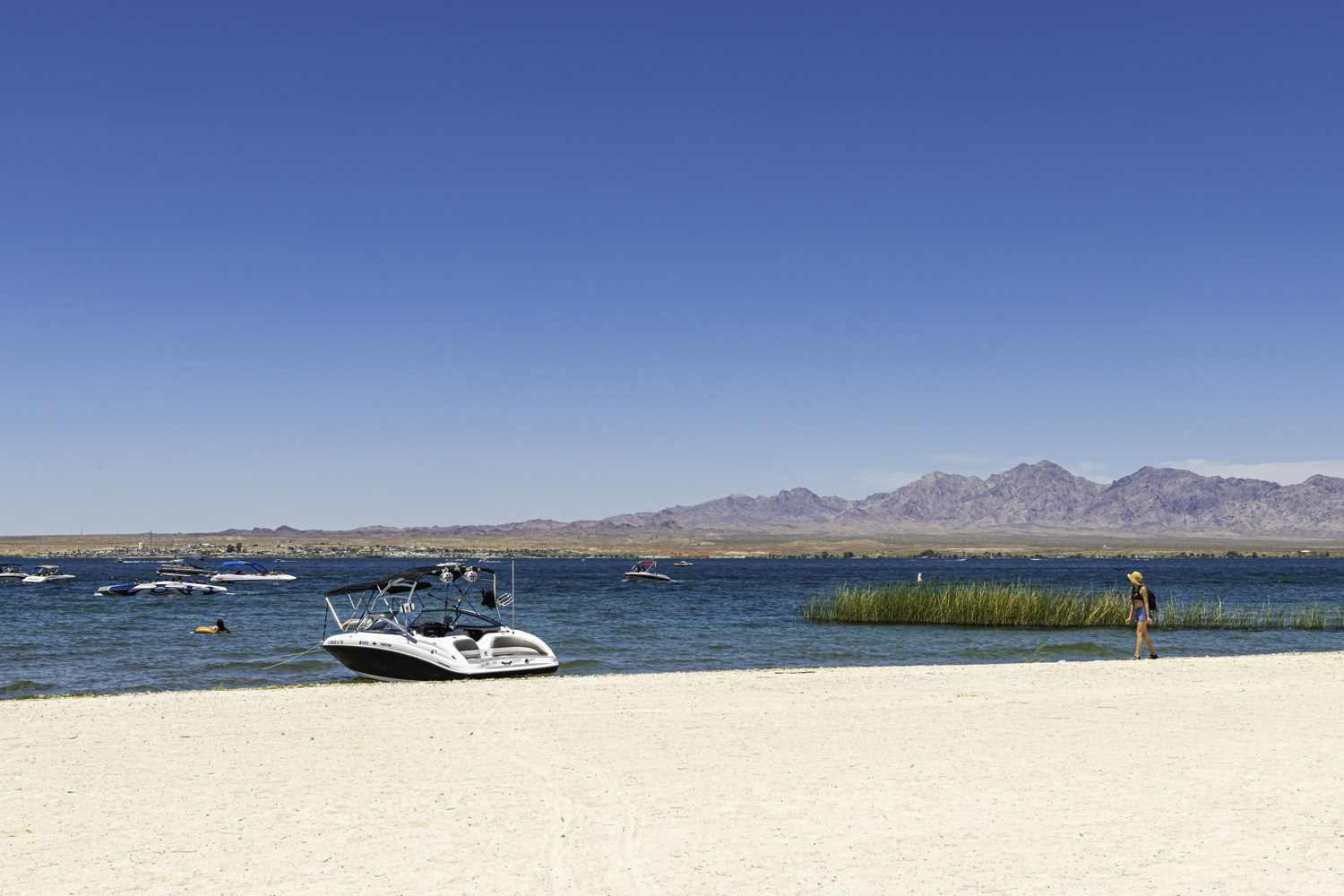 Lake Havasu State Park_An Pham_A855175.jpg