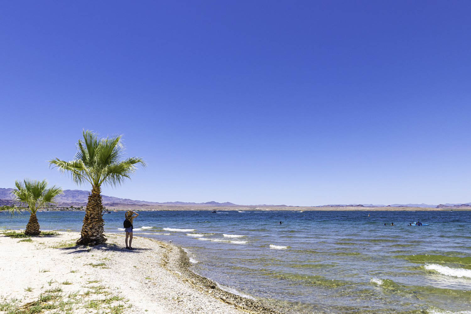 Lake Havasu State Park_An Pham_A855253.jpg