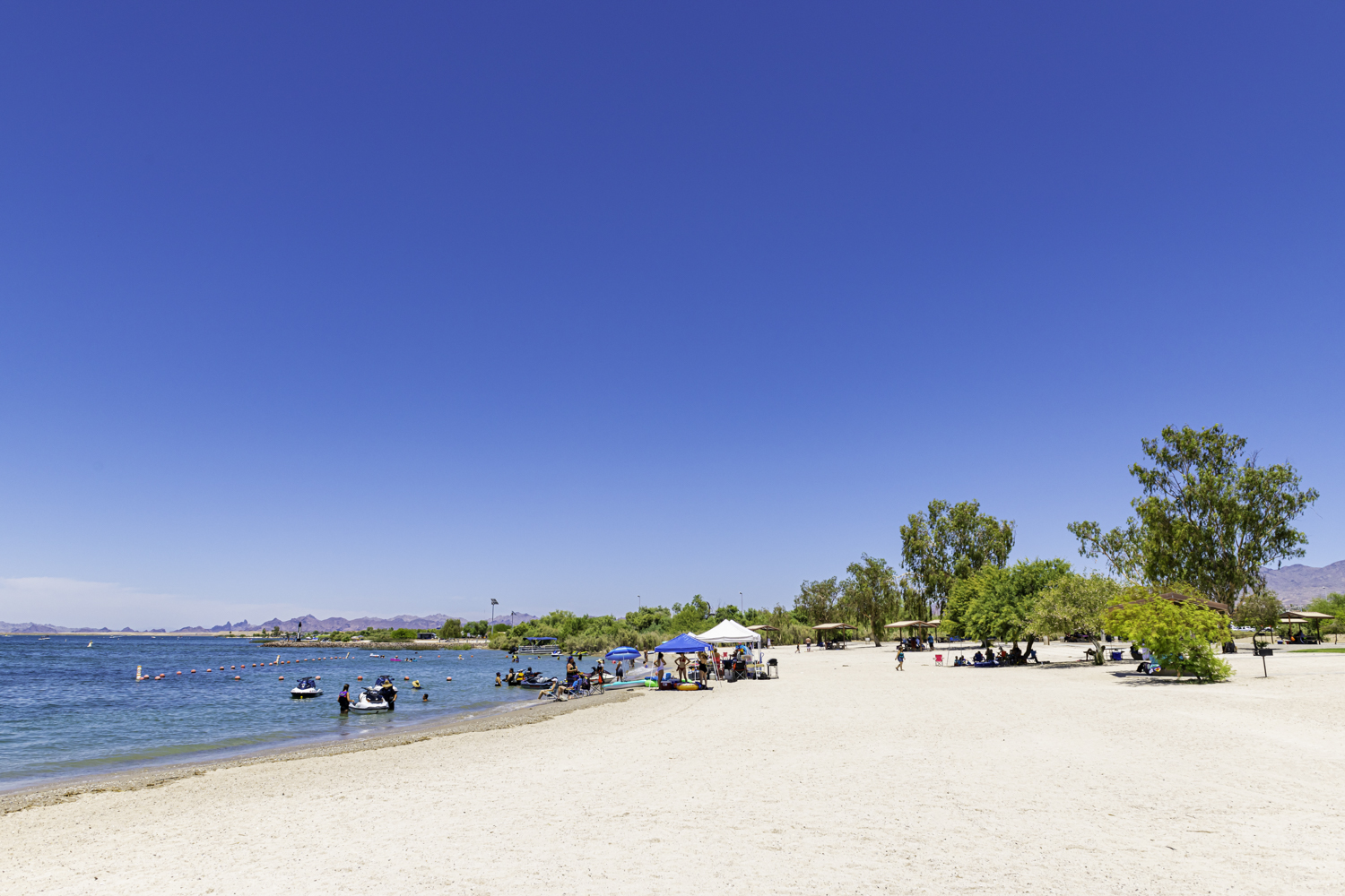 Lake Havasu State Park_An Pham_A855326.jpg