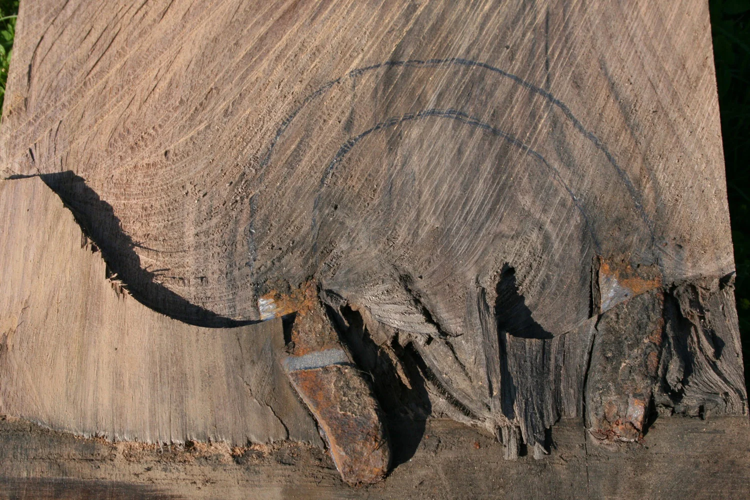 Horseshoe embedded in walnut plank