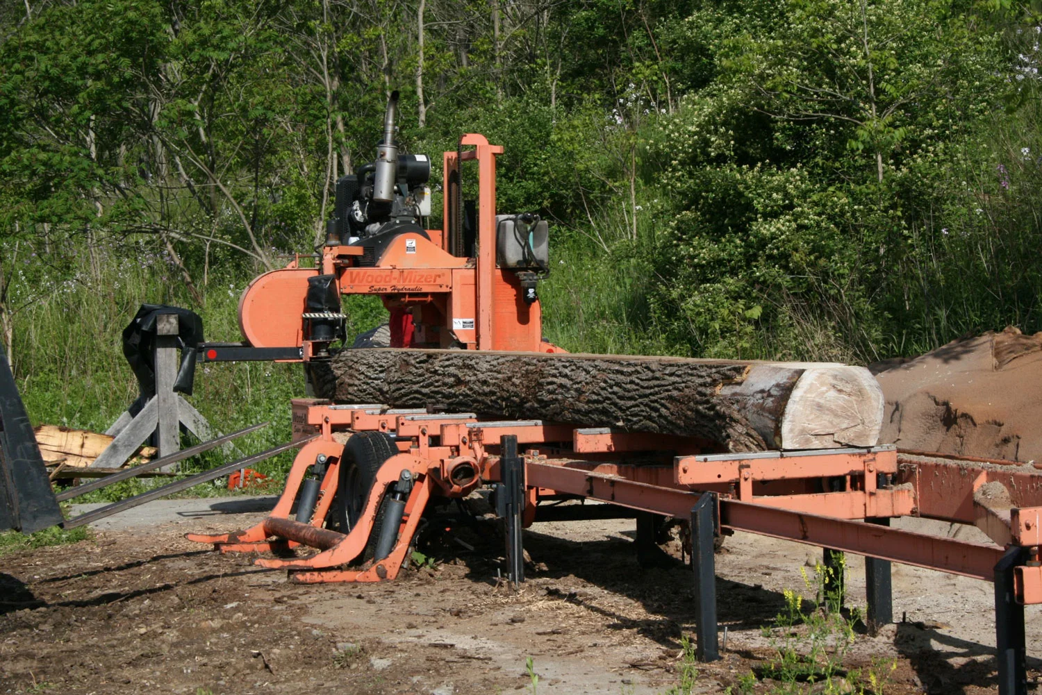 Walnut log on the sawmill