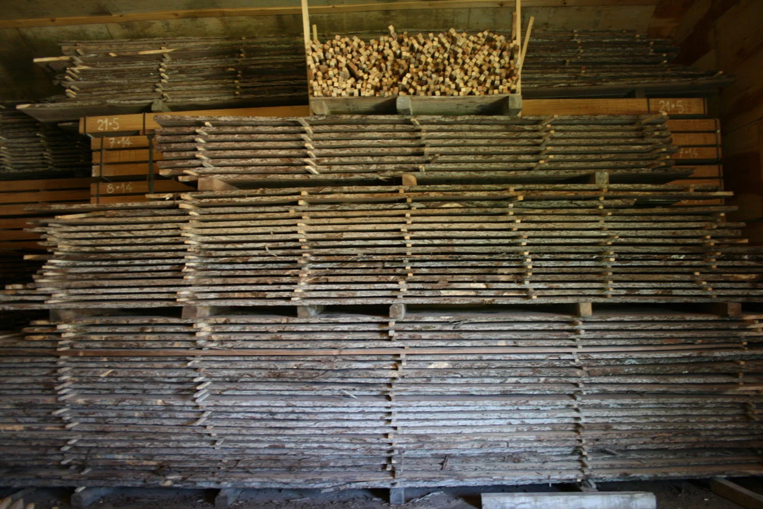 Walnut planks drying