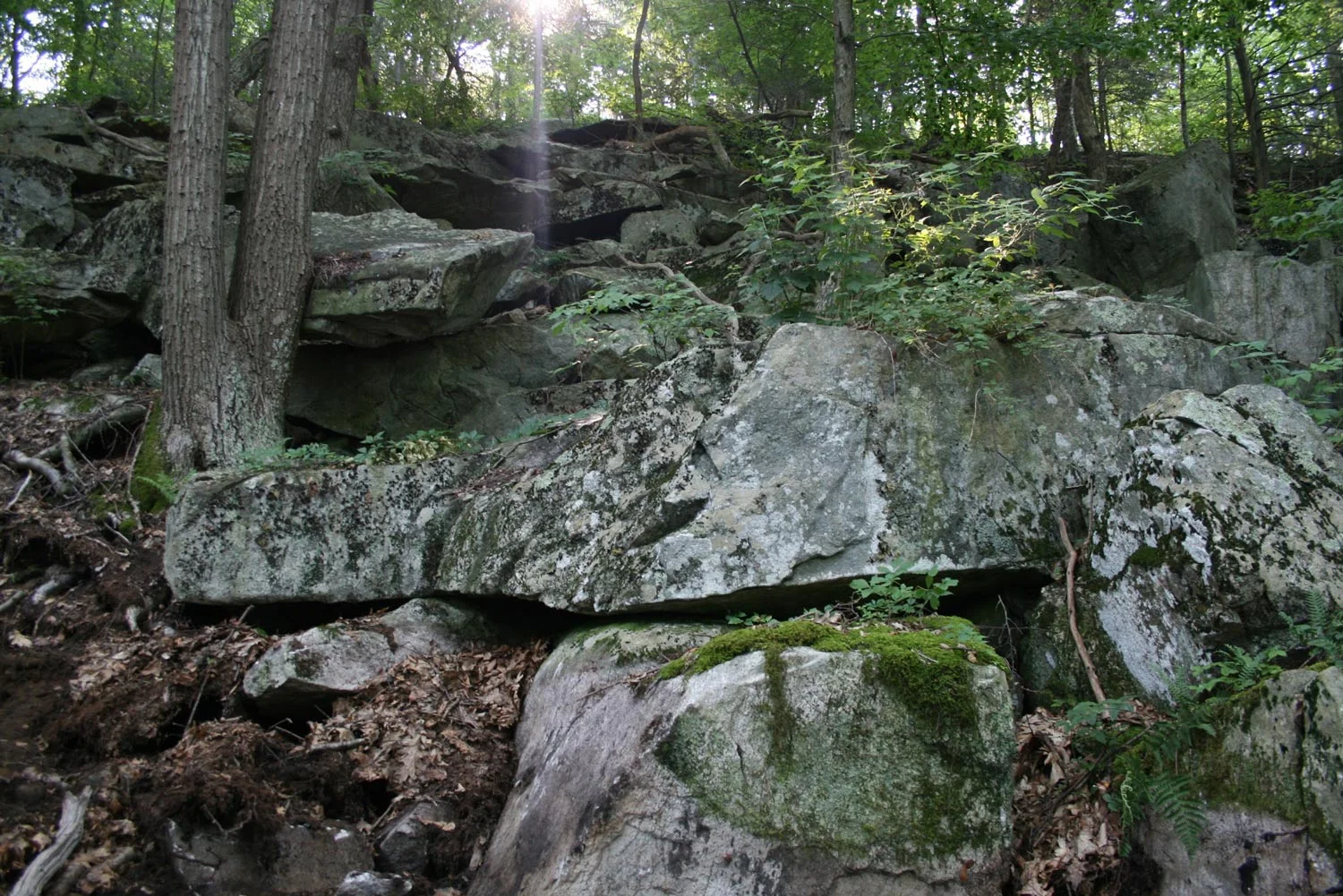 Natural rock fall in the woods