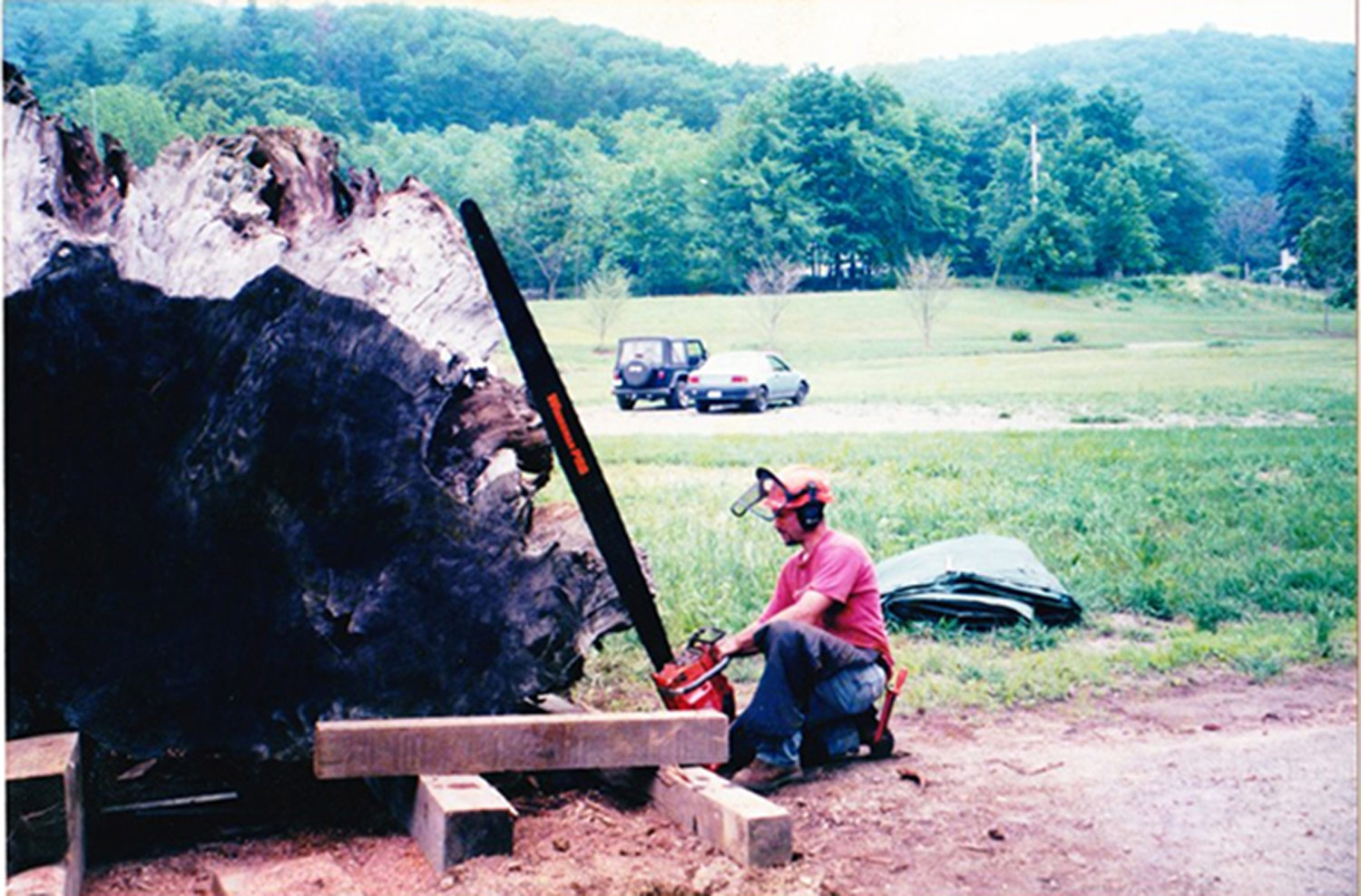 Sawing crosscut from redwood stump in Wassaic NY