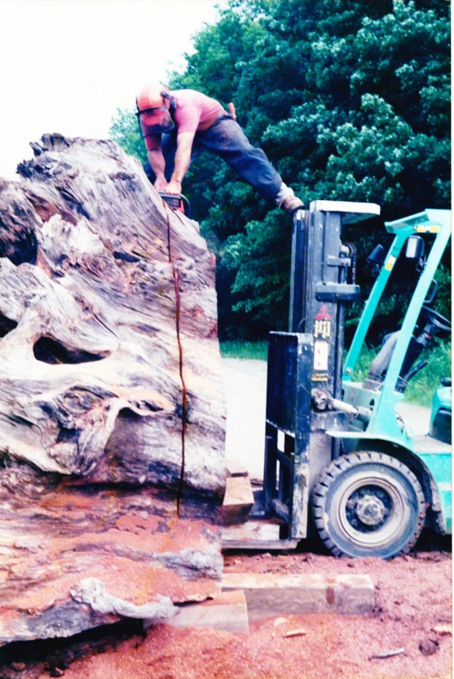 Sawing crosscut from redwood stump in Wassaic NY