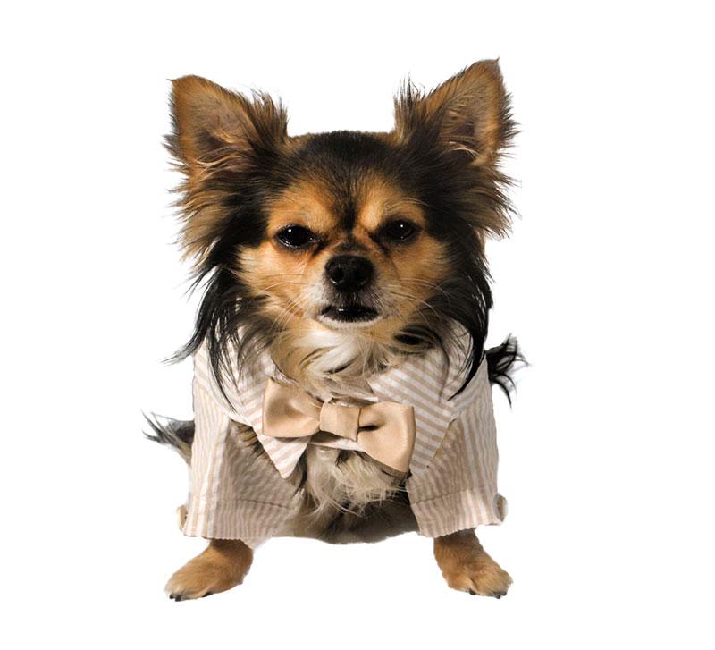 BOYS SHIRT N TIE_02.jpg
