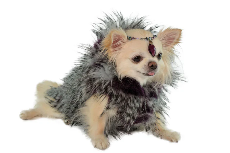 purple-fur-coat-laying-down.jpg