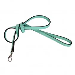 daisy_turquoise__500df0c3a0e97.jpg