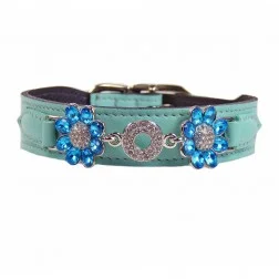 daisy_in_turquoi_500de451ee4ae.jpg